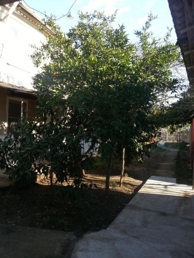 Guest House Yuzhnaya Palmira 皮聪达 外观 照片